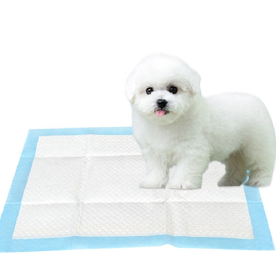Disposable Absorbent Indoor Pet Urine Pad Puppy Training Dog Urine Pad